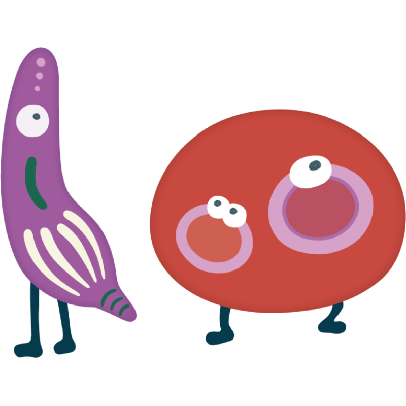 寄生虫　Parasite　Parazit　plasmodium falciparum