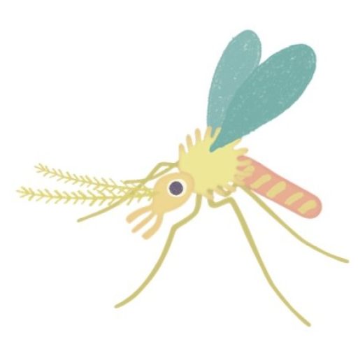 画像に alt 属性が指定されていません。ファイル名: cropped-img_insect_sandfly.jpg