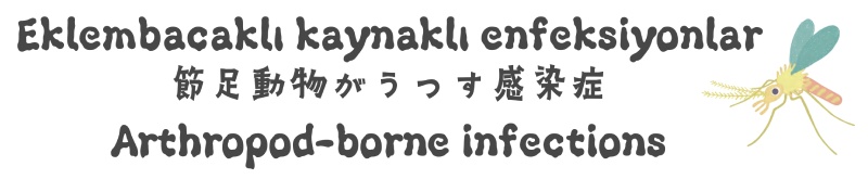 Vektörlerle bulaşan hastalıklar 節足動物がうつす感染症 Vector-borne disease